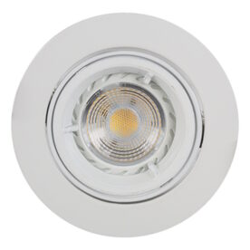 D19W