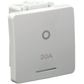 20A Double Pole Switch 2 Module