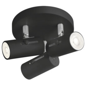 Painted Spotlight