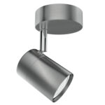 Satin Chrome Spotlight