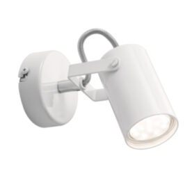 Painted Spotlight